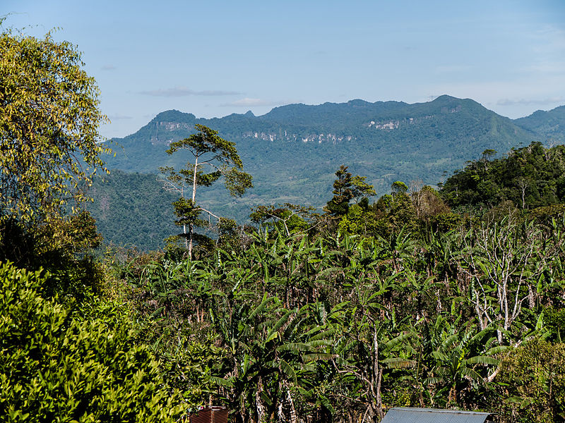 File:PenasBlancas, part of the Bosawas Reserve, Jinotega Department, Nicaragua.jpg