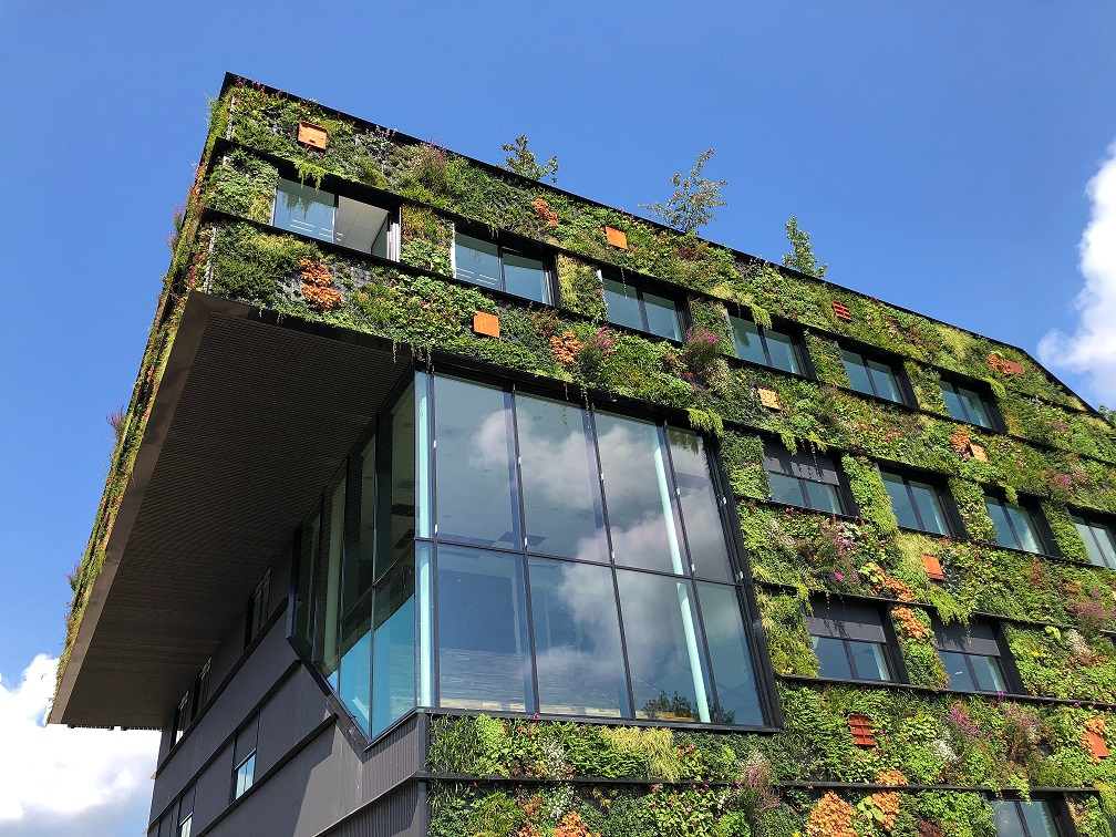 modern building with plants on the outside