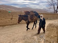 Why North Africa's nomad community needs climate finance