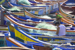 a line of fishing boats